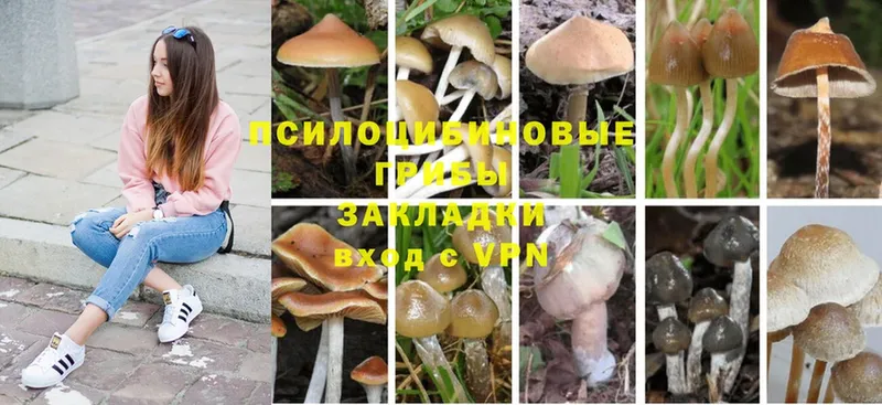 Галлюциногенные грибы MAGIC MUSHROOMS  omg tor  Кумертау 